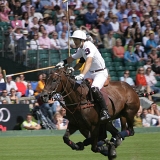 Photoscience - Polo and Wedding photographers in Hampshire Surrey and Sussex